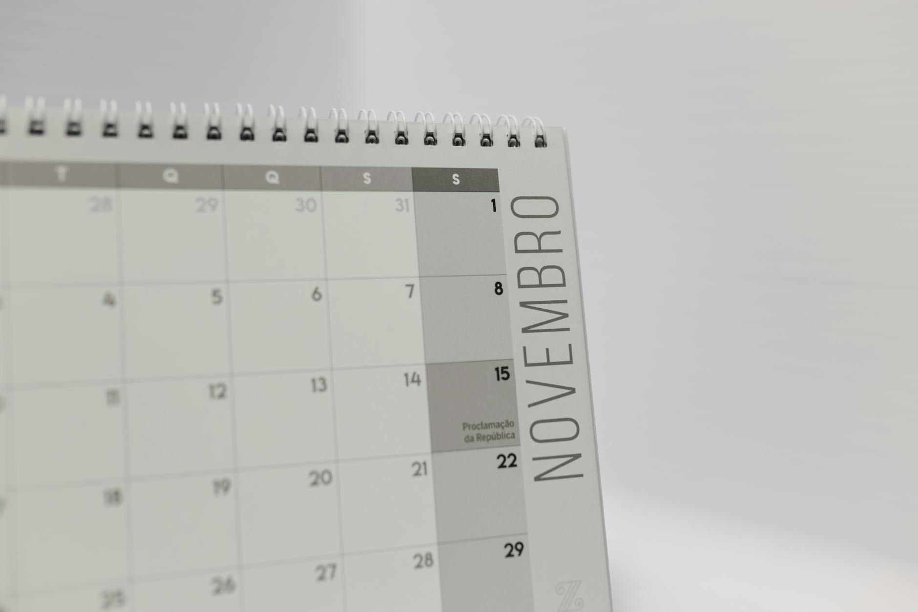 Month-by-month Italy study abroad timeline for Indian students showing IMAT visa and scholarship deadlines