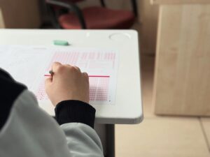 Italy MBBS graduate preparing for FMGE exam with subject-wise study guide and resources