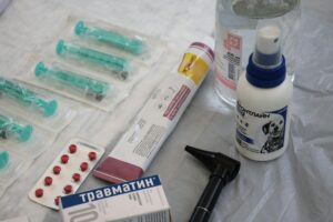 Italy MBBS graduate preparing for PLAB exam to practice medicine in the United Kingdom NHS