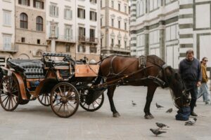 Public transport and cycling options for Indian students studying at University of Florence in Florence Italy