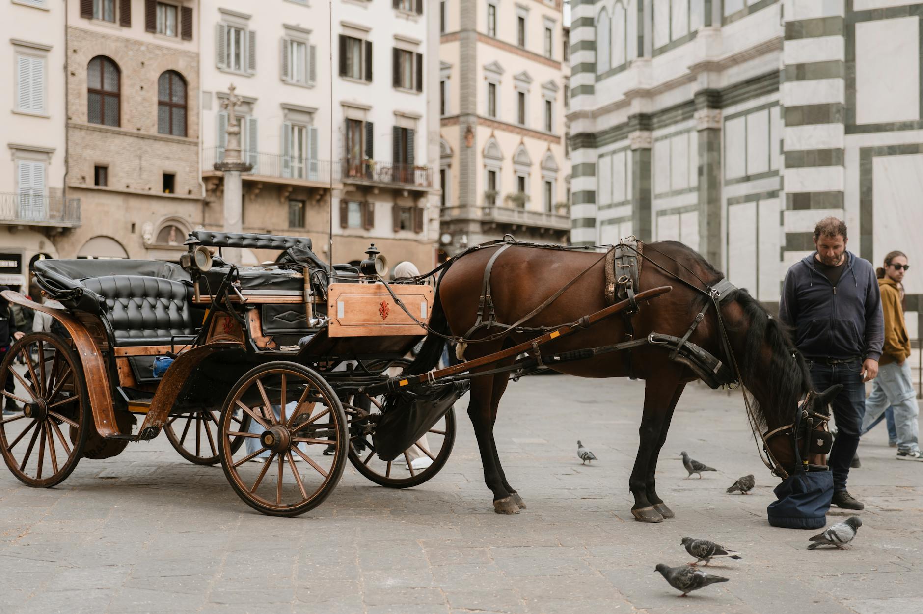 Public transport and cycling options for Indian students studying at University of Florence in Florence Italy